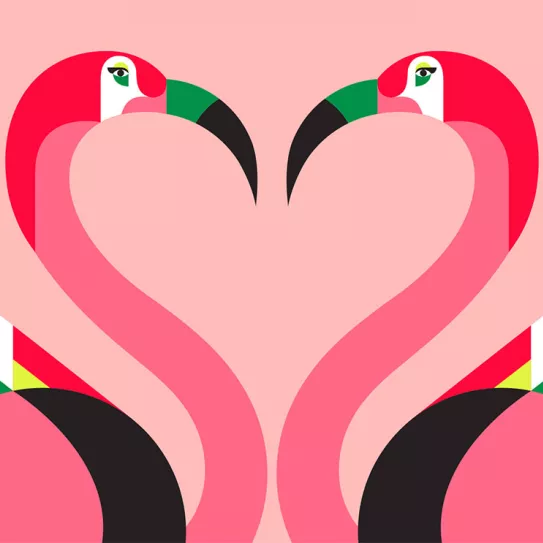 Si no es mutuo, no funciona 