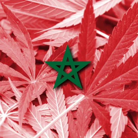 Marruecos aprueba definitivamente la regulación del cannabis medicinal e industrial