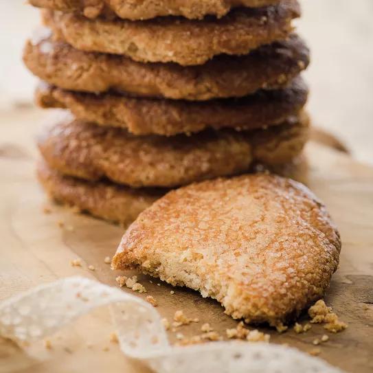 Perrunillas de la Quika con Zkittalicious