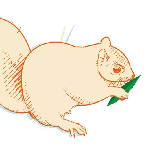 El estado de la Gran Manzana legaliza finalmente