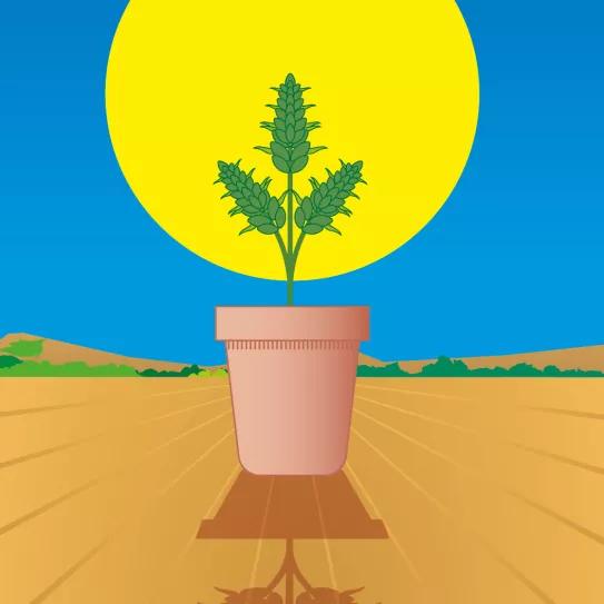 Lunario de julio del 2021