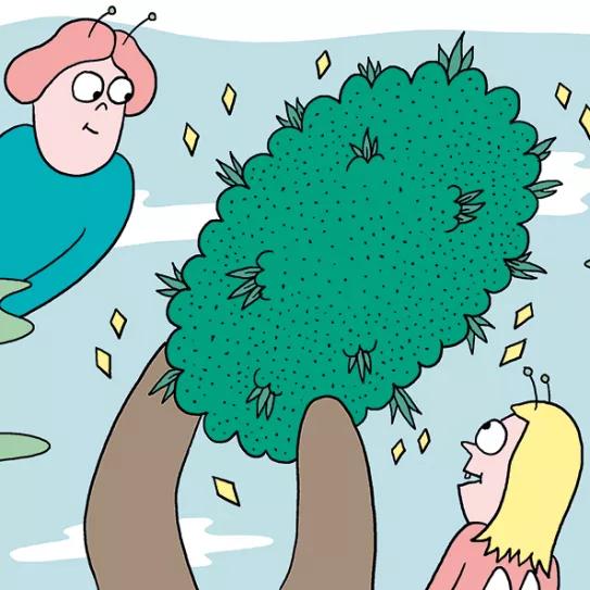 Once claves para la fertilización: como conseguir los mejores cogollos