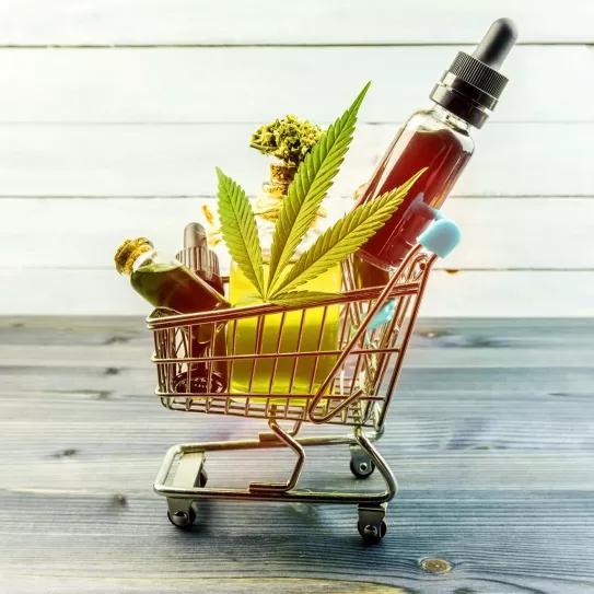 Uruguay estudia regular el uso de CBD en alimentos 