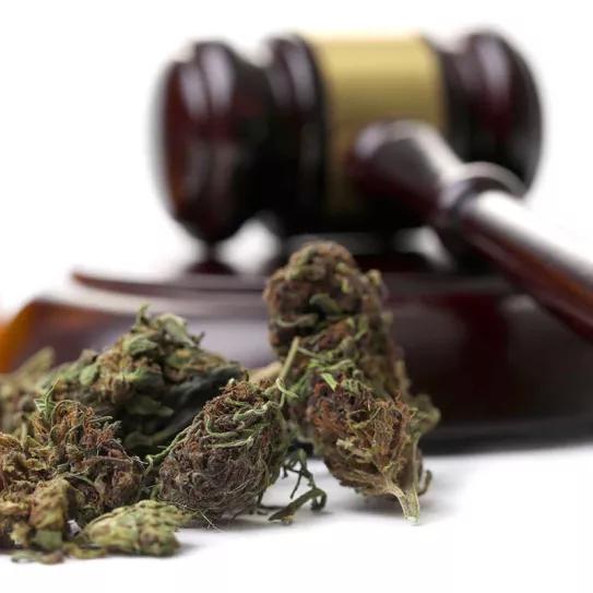 Un juez absuelve al propietario de una tienda de CBD y le devuelve todo lo decomisado