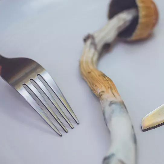 Un estudio probará la terapia con psilocibina contra la anorexia nerviosa