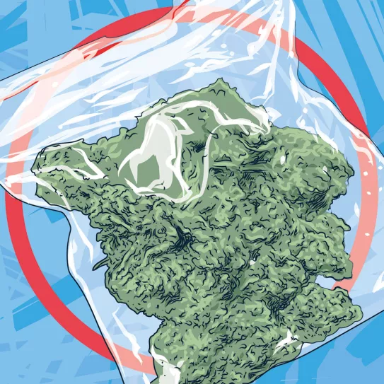 Conservación a largo plazo 