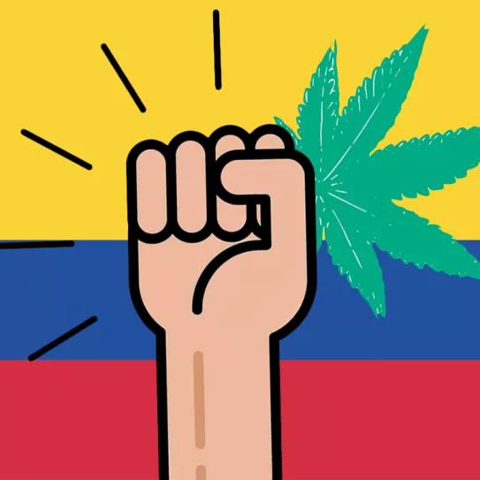 ¿La política de drogas fuera de las exigencias del Paro Nacional?