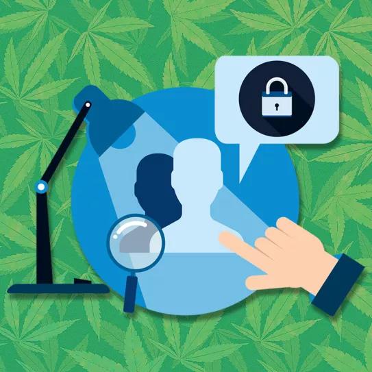 La protección de datos sobre los cultivadores de cannabis se disputa en Uruguay