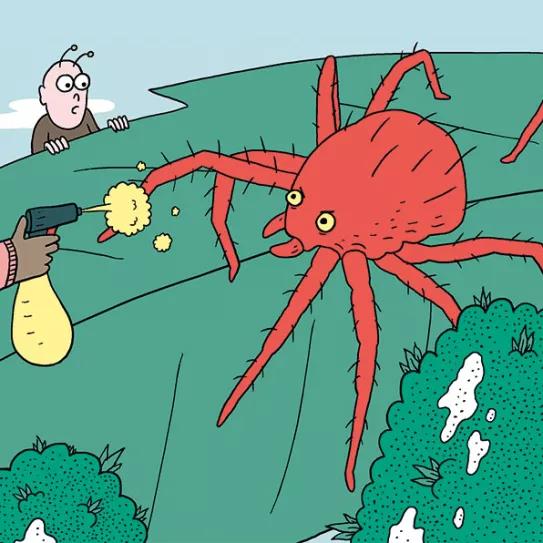 Los enemigos del cogollo: arañas rojas, orugas del cogollo, botritis y oídio 