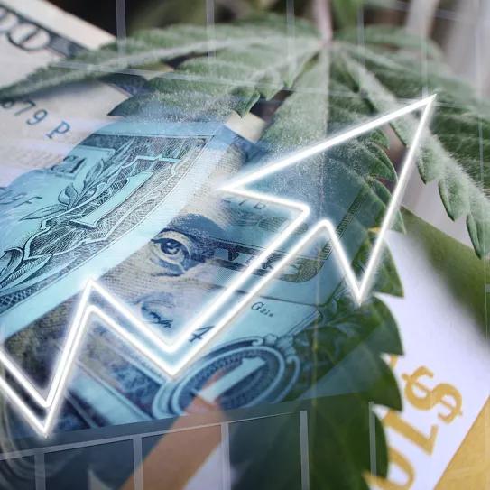 La regulación del cannabis aumenta el precio de la vivienda en EE UU según un estudio 