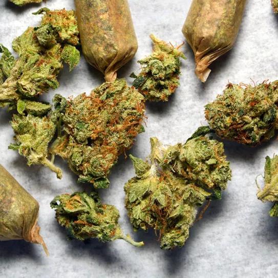 El 66% de los suizos apoya una regulación del uso adulto de cannabis