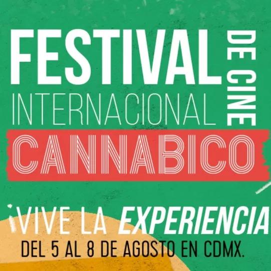 México acogerá la 4ª edición del Festival Internacional de Cine Cannábico la próxima semana
