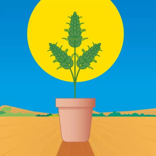 Lunario de agosto del 2021 