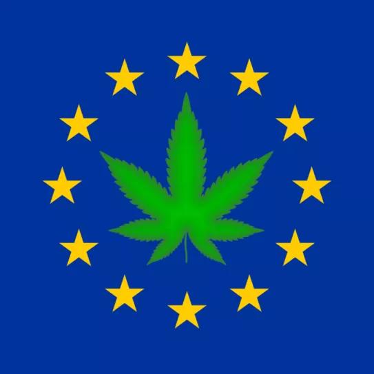 ¿Cuáles han sido las medidas del cannabis impulsadas en la ONU y la Unión Europea en el último año?