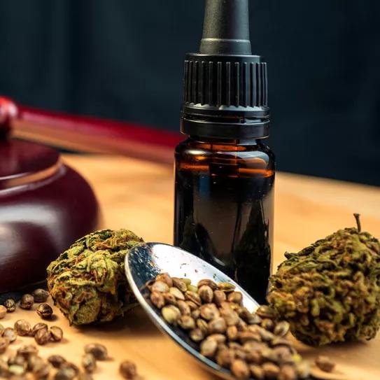 Grandes intervenciones del año y juicios contra el sector del cannabis en España