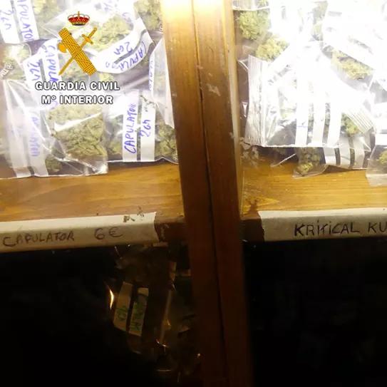 La Guardia Civil interviene una asociación cannábica cántabra y detiene a sus dos responsables