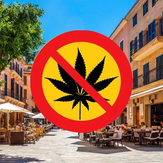 El Ayuntamiento de Alcúdia veta los clubs cannábicos pese a no tener ninguno
