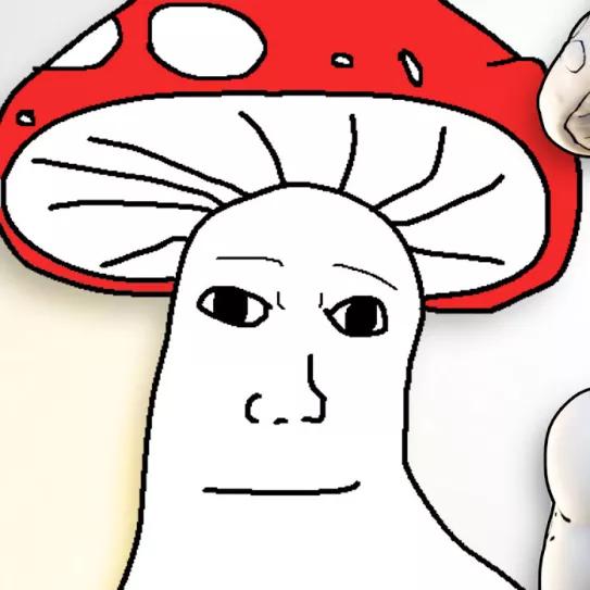 ShroomJak el hongo psicodélico que puebla la red con memes