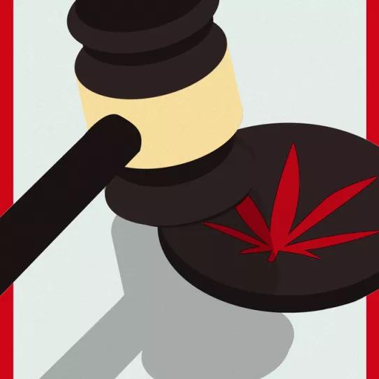 La Corte Suprema de Canadá decidirá sobre el derecho al autocultivo en Quebec