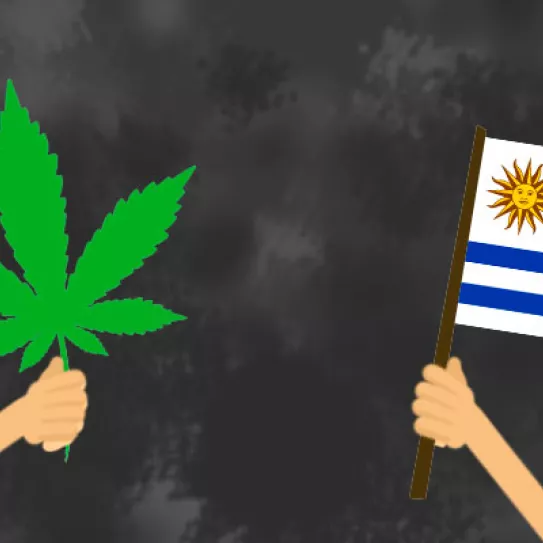 Fechas de plantación y cosecha en Uruguay