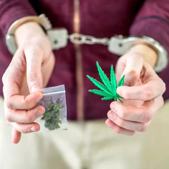 Condenados el presidente y el secretario de un club alicantino que vendieron cannabis a un menor 