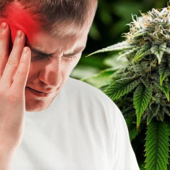 El cannabis puede servir para reducir las migrañas de origen indeterminado según una revisión científica