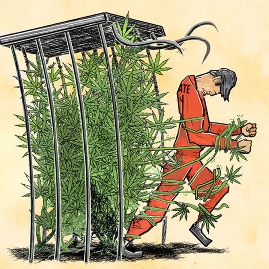 Algunos presos por drogas de EE UU podrán optar al arresto domiciliario 