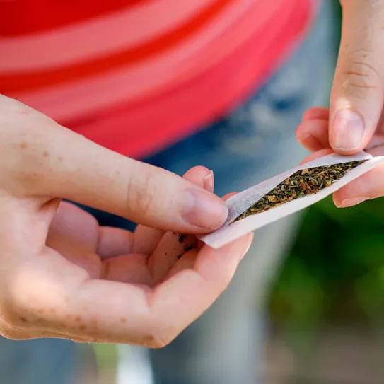 La regulación del cannabis no aumenta el consumo adolescente afirma un estudio de una prestigiosa revista  