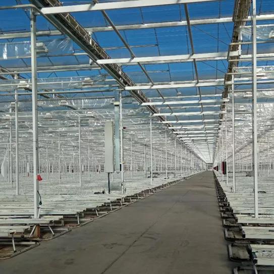 Ondara, a la espera de recibir los esquejes para iniciar los cultivos de cannabis