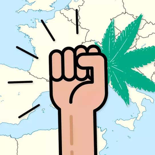 60 personalidades de Portugal firman una carta por la regulación del cannabis 