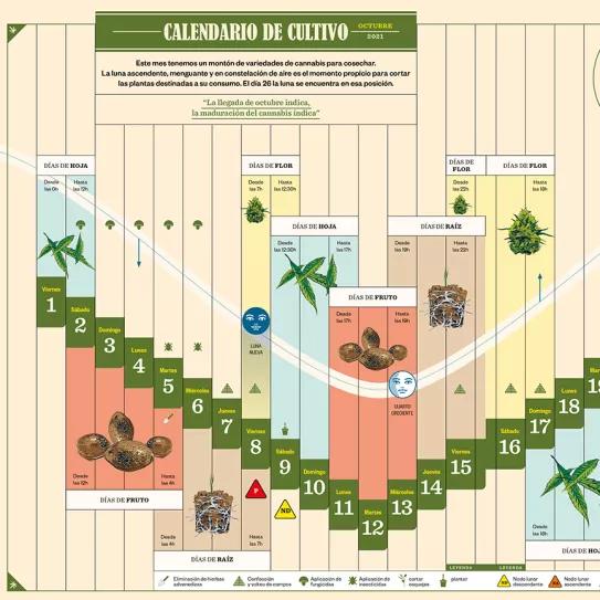 La cosecha de octubre 2021