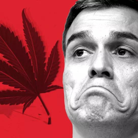 El PSOE adelanta que no apoyará la propuesta de ley sobre el cannabis que se vota esta tarde