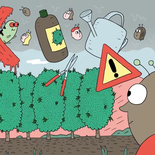 Diez errores clásicos: lo que no hay que hacer 