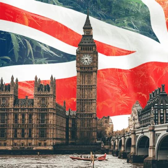 El Parlamento británico debate mejorar el acceso al cannabis medicinal