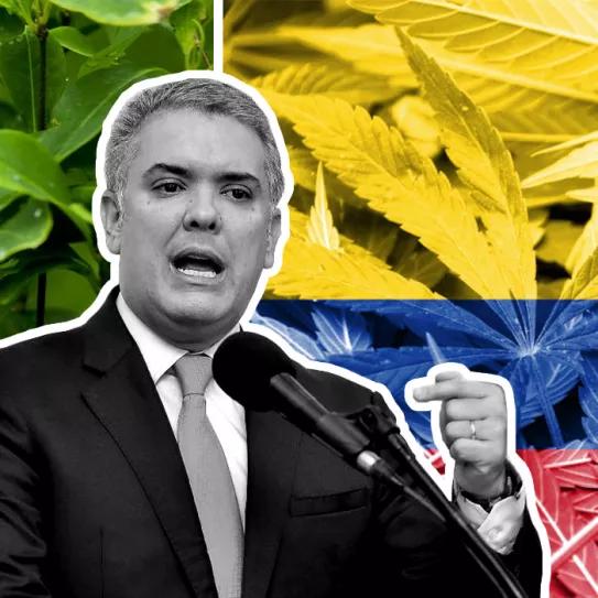 El presidente colombiano reivindica la producción de cannabis pero no la de coca