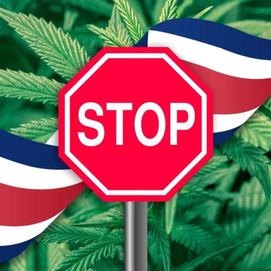 El Gobierno de Costa Rica excluye la regulación del cannabis de la agenda legislativa