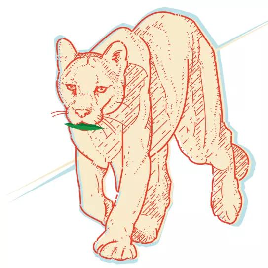 La otra pandemia Por Oswaldo Pérez Cabrera 