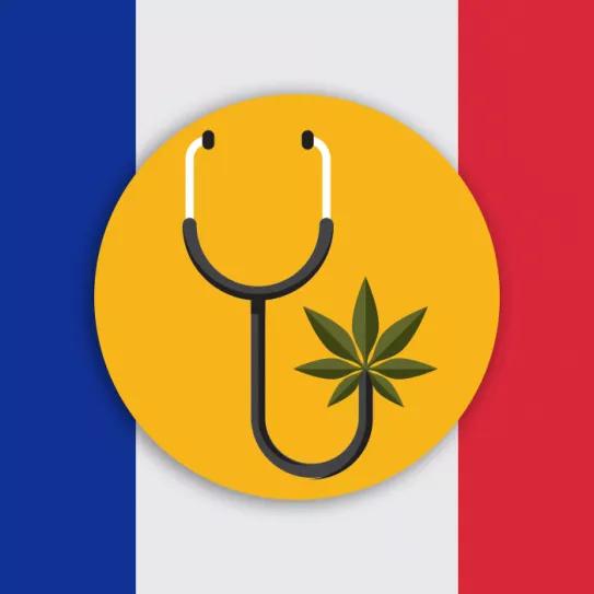Ya hay 1000 pacientes inscritos en el programa de cannabis medicinal francés