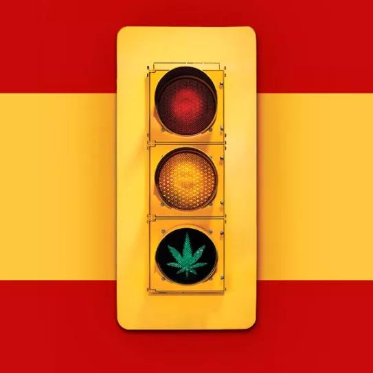 Expertos y asociaciones de la sociedad civil exponen la necesidad de regular el cannabis en el Congreso 