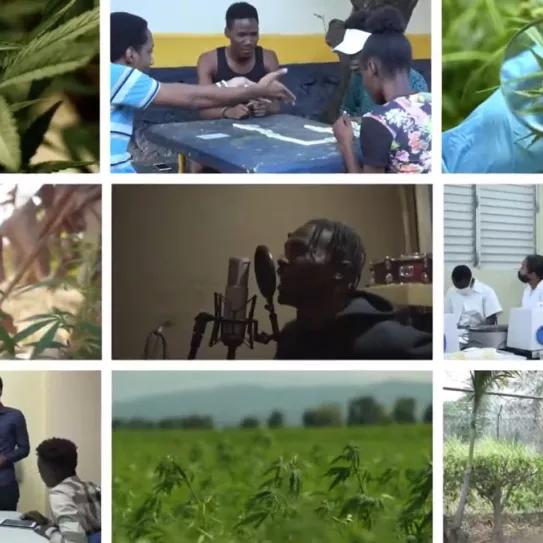 Jamaica lanza una campaña educativa sobre el cannabis a ritmo de reggae 