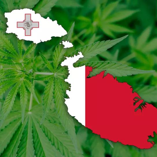 https://canamo.net/noticias/mundo/malta-anuncia-la-legalizacion-del-autocultivo-y-los-clubs-de-cannabis