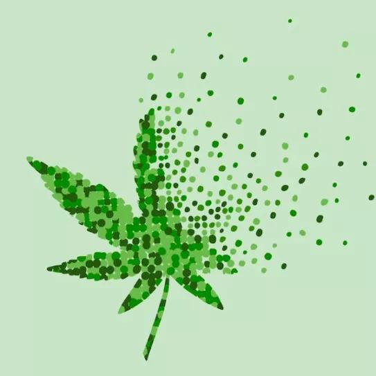 A la espera de nuevas leyes