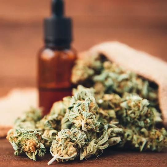 La Encuesta Global sobre Drogas 2021 revela una expansión de uso de CBD en todo el mundo