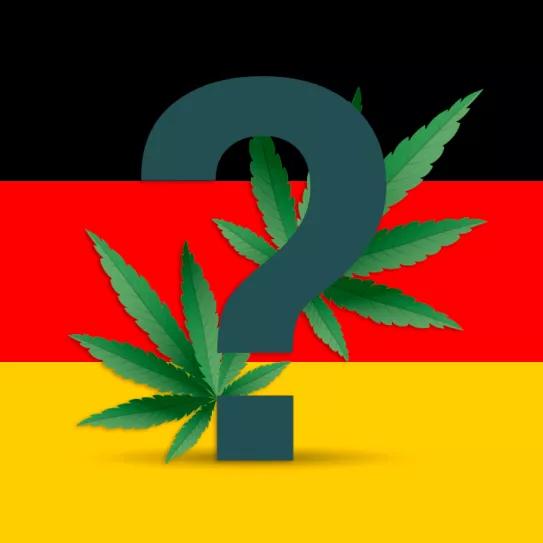 La regulación del cannabis en Alemania divide a la población