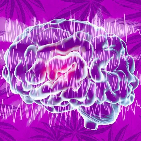 Un estudio halla mejoras significativas en pacientes con epilepsias bajo tratamiento con cannabis 