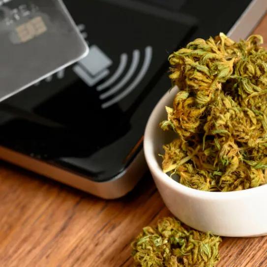 VISA advierte a las empresas de cannabis estadounidenses sobre posibles sanciones
