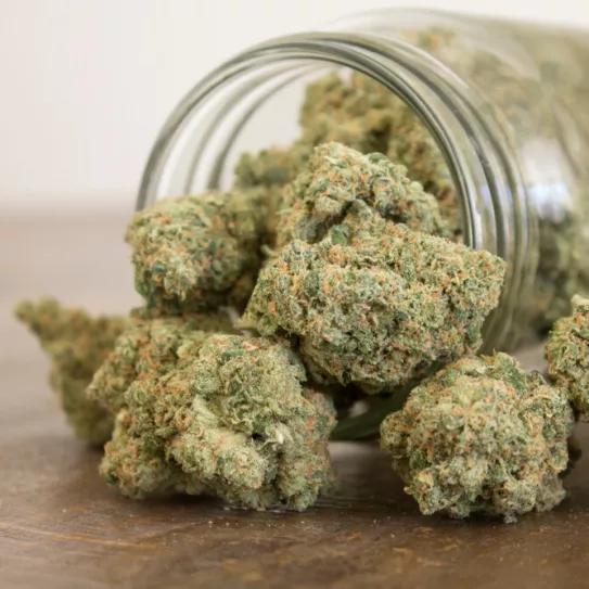 Un juez absuelve al propietario de una tienda de CBD intervenida por la policía