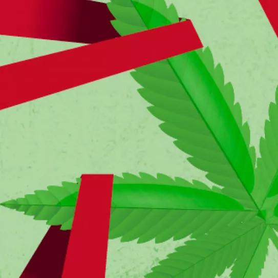 Regulación y abusos policiales