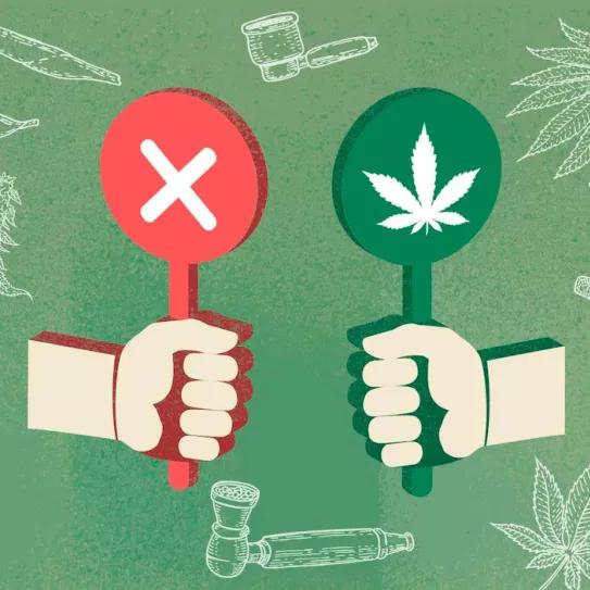 El salvavidas del cannabis medicinal es el recreativo
