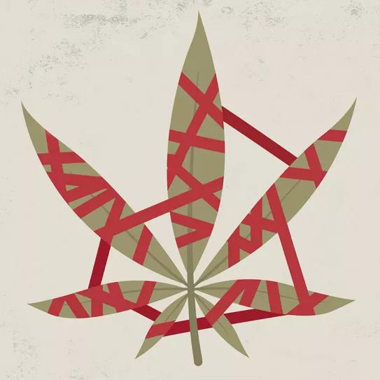 Entre progresistas, prohibicionistas y oportunistas